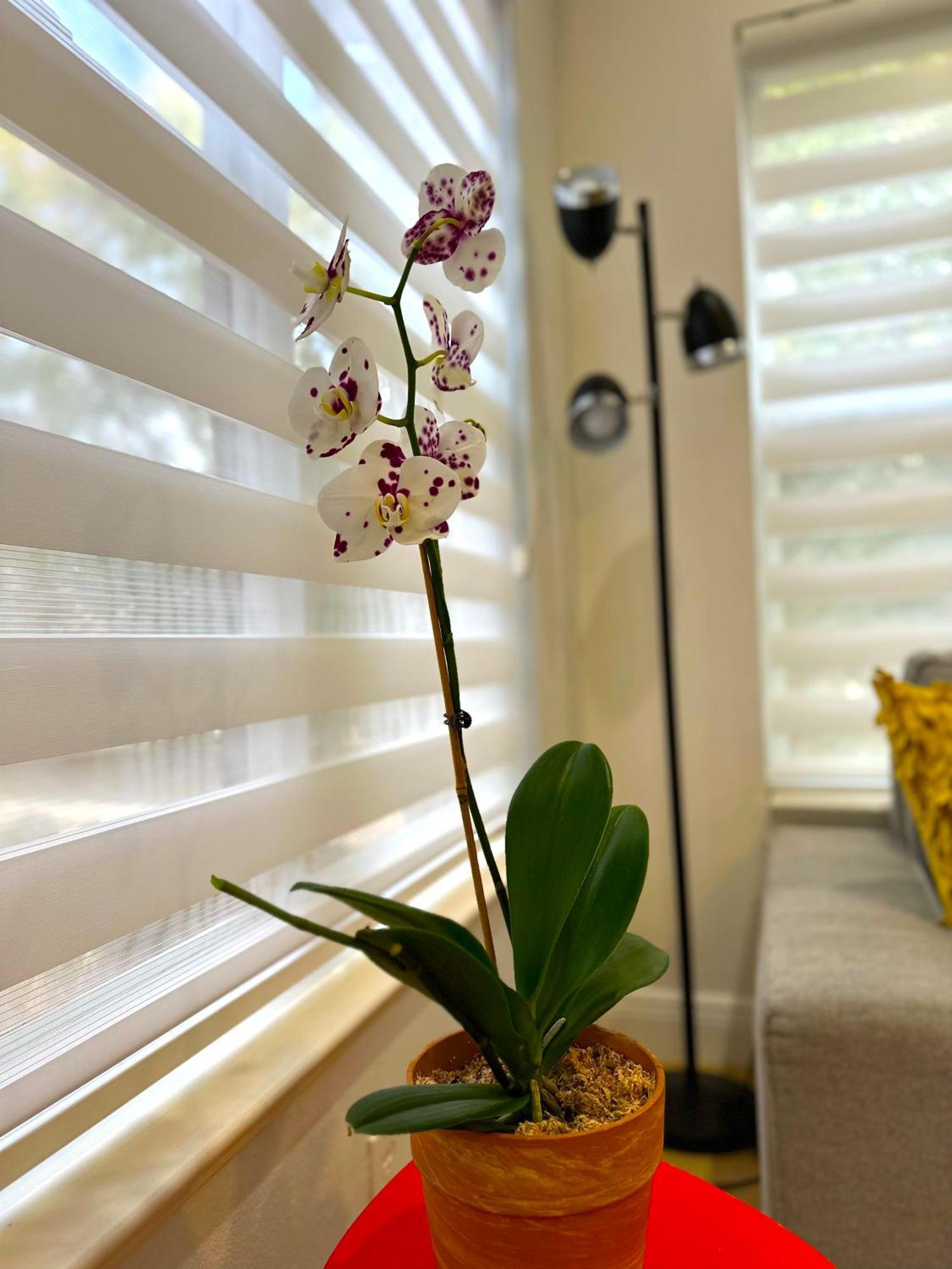 Albatross Condo In Pga Village, 2 Bedroom 1 Bath, A Side Carlton Bagian luar foto